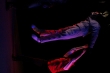 Photo: image 77 0f 132 thumb